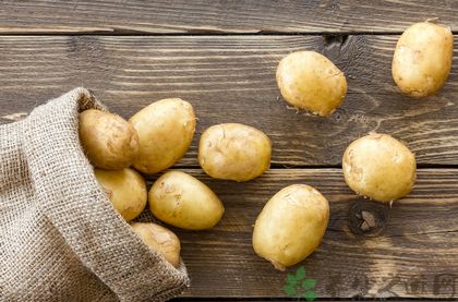 土豆怎样保存不发芽